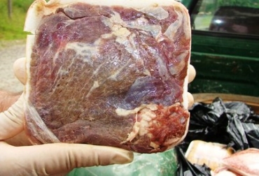 En total, 8 toneladas de carne se encontraban en estado de descomposición. Foto: Archivo particular. Carne en bodega de Montería.jpg