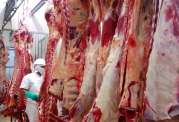 La construcción de una planta de sacrificio en Bosconia, Cesar, beneficiaría a productores de más de 10 municipios del norte del país. Foto: Gobernación de Cesar Planta de beneficio animal en Cesar