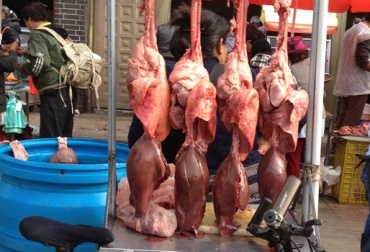 En Valledupar las entidades de control se endilgan la responsabilidad unas a otras. Foto: CONtexto Ganadero. venta de carne ilegal