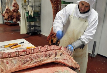 En el departamento, cerca de 100 animales se están sacrificando de manera ilegal, afectando principalmente a los consumidores de la región. Foto: CONtexto ganadero. Frigoríficos en Casanare
