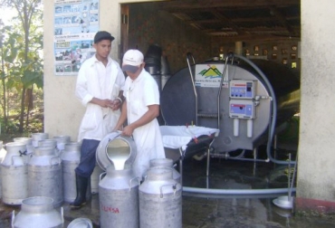 Un tanque de enfriamiento para almacenar 5.000 litros de leche y un área para la transformación de derivados lácteos hacen parte del proyecto. Foto: CONtexto Ganadero. Centro de acopio lácteo