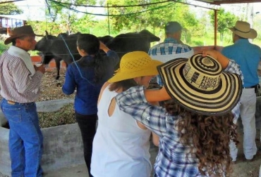 La siguiente visita del círculo de excelencia tendrá lugar en San Alberto. Foto: Diego Ríos / Fedegán. círculo de excelencia bufalino