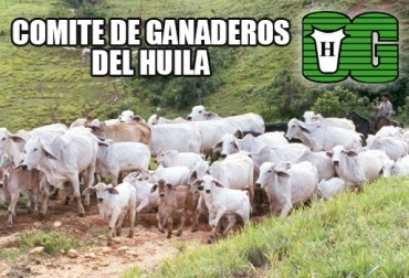 La entidad respaldó la gestión adelantada por Fedegán frente a la administración de los recursos parafiscales. Foto: CONtexto Ganadero. Comité de Ganaderos del Huila