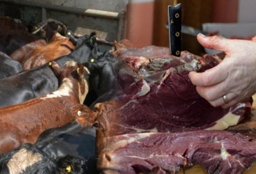 El cierre del matadero de Arauca, abrió la puerta para que se dispare el ingreso de carne ilegal. Foto: CONtexto Ganadero. Contrabando arauca