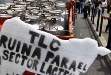 De acuerdo a los Comités ganaderos, los costos de producción han aumentado un 18%. Foto: CONtexto Ganadero. Crisis láctea en Colombia