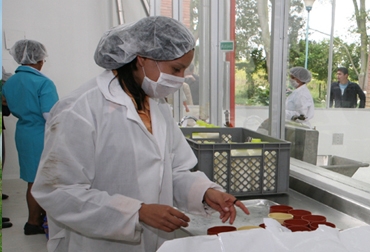 Los proyectos aprobados gracias a la gestión de la Secretaría de Ciencia, Tecnología e Innovación serán ejecutados durante 2013. Foto: Gobernación de Cundinamarca. Cundinamarca invierte en ciencia y tecnología