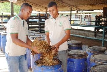 El manejo de la carga y la reproducción de los animales serán parte del curso. Foto: Sena. Tecnología para la Producción Ganadera
