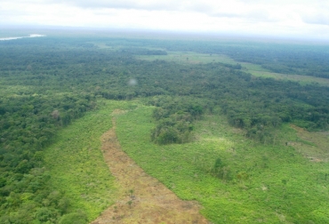 En los últimos años, la selva amazónica del Guaviare ha perdido 220 mil hectáreas por cuenta de la deforestación. Foto: Ideam. Deforestación en Guaviare