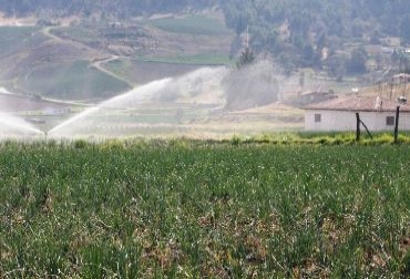 La temporada seca exige unidad e integración entre gremios para capacitar a los productores de la región. Foto: Gobernación de Boyacá. Distritos de riego en Casanare.jpg