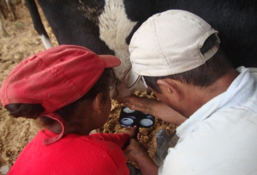 Los pequeños productores de leche recibirán respaldo de Asistegán Asistegan express pasra los ganaderos