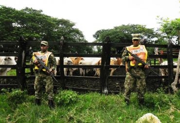 Voceros de Fedegán aseguran que el Ejército no está trabajando en pro de la seguridad de los ganaderos. Foto: Ejército Nacional. Abigeato en el Atlántico
