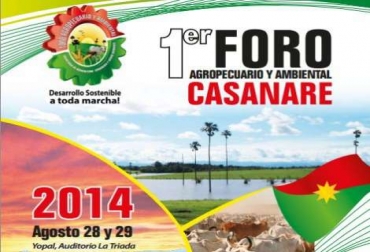 Serán 2 días en los que invitados nacionales e internacionales hablarán sobre el agro del departamento y modelos exitosos de producción. Foto: Gobernación de Casanare. Foro Agropecuario y Ambiental del Casanare