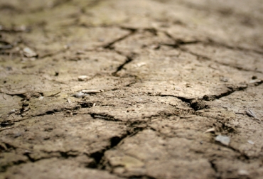 Con el propósito de enfrentar el fenómeno climático, los productores vienen trabajando de la mano de Fedegán para tener suficiente alimento en la época crítica. Foto: CONtexto Ganadero. fenómeno del niño