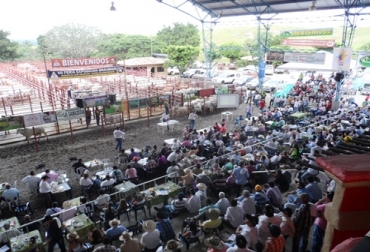 Más de 380 ganaderos asistieron a la Feria. Foto: Daniela Oquendo. Feria ganado Brahman