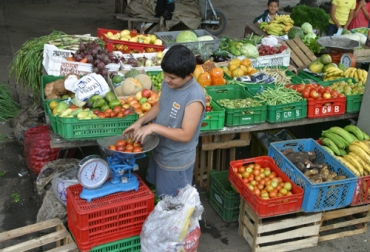El centro beneficiará a los productores de 9 municipios del departamento. Foto: Cortesía Gobernación de Cundinamarca. Centro de Abastecimiento Alimentario Fusagasugá.