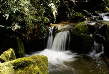 Preservar los recursos hídricos del departamento es el objetivo de las charlas. Foto: Gobernación de Antioquia. Recursos naturales de Antioquia.jpg