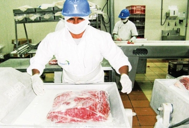 En total, 160 reses semanales saldrán con rumbo a Egipto. Foto: Friogán Corozal. Egipcios buscan carne sucreña.jpg