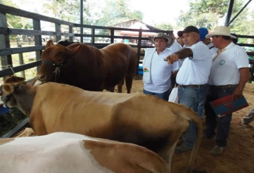 Los productores de esta zona del país, le manifestaron al gobernador las necesidades existentes y agradecieron el trabajo adelentado en pro del sector. Foto: Gobernación del Putumayo. Ganaderos del Bajo Putumayo