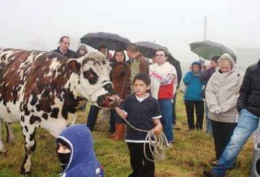 El estatus sanitario en la cadena productiva de la leche, doble propósito o carne, eje de la convocatoria. Foto: Gobernación de Boyacá. Buenas Prácticas Ganaderas en Boyacá