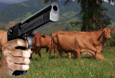 Hurto de fincas, abigeato y secuestro exprés de animales, son las modalidades usadas por los criminales en el departamento. Foto: CONtexto Gandaero. Robo de ganado