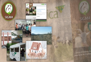 La herramienta con la que el ICA está realizando la entrega de las guías de movilización animal, no ha facilitado el trámite entre los ganaderos, aún las demoras y fallos del sistema, no mejorar la situación. Foto: CONtexto Ganadero. Quejas sobre el sigma