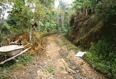 Más de $500 millones se invertirán para recuperar las vías de 7 veredas en el Quindío. Foto: Alcaldía de Córdoba, Quindío Campesinos de Quindío, preocupados por vías.jpg