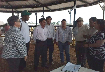 Una delegación de colombianos participó en una feria en Ecuador, logrando importantes acuerdos para la ganadería fronteriza. Foto: Manuel Ortiz / Fedegán. Expoasis 2014