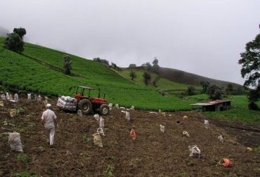 El gremio agrícola boyacense está sufriendo por la crisis del sector. Foto: Gobernación de Boyacá. Productores de papa, cebolla y cereal piden ayuda al Gobierno.
