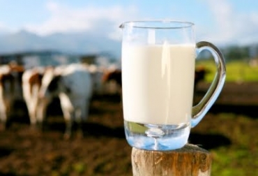 La Alcaldía de Pereira realizó una reunión para brindarle asesoría a los comerciantes de leche cruda en la ciudad. Foto: Gobernación de Boyacá. sector lácteo Risaralda