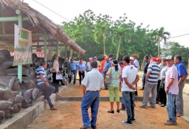 En total, se beneficiaron 448 productores del Golfo de Morrosquillo. Foto: CONtexto ganadero. Brigadas Tecnológicas Ganaderas
