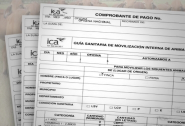 Las guías sanitarias de movilización animal son expedidas por el ICA. Foto: CONtexto Ganadero. guías movilización colombia