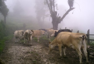 El Ideam estableció bajas temperaturas en Cundinamarca y Boyacá. Foto: Archivo. El Ideam estableció bajas temperaturas en Cundinamarca y Boyacá. Foto: Archivo.