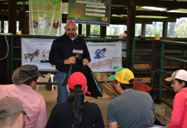 Las BT se desarrollan de forma paralela con el primer ciclo de vacunación contra fiebre aftosa y brucelosis. Foto: CONtexto ganadero. Brigadas Tecnológicas Huila