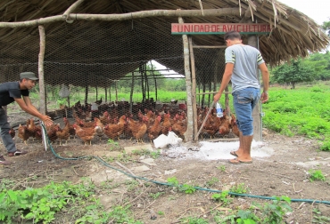 La comunidad de El Salado ya adelanta programas como criaderos de gallinas. Foto: Fundación Semana. La comunidad de El Salado ya adelanta programas como criaderos de gallinas. Foto: Fundación Semana.
