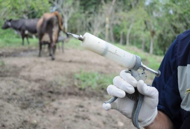 Los vacunadores llegan a todos los rincones del país en ciclos que duran 45 días