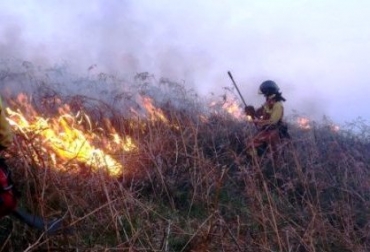 En total, 40 hectáreas de bosques nativos y secundarios se encuentran afectados. Foto: Archivo particular. Incendios forestales