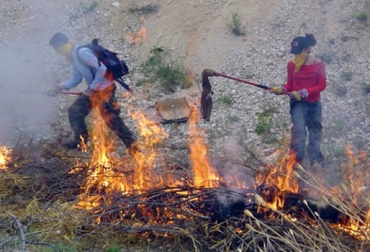 Alertas amarilla, naranja y roja se mantienen en varias zonas de Colombia. Foto: Sigpad. Incendio forestal en Colombia.