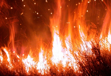 Se declaró alerta roja por los incendios que ocasionaron la pérdida de más de 430 hectáreas de vegetación y cultivos como caña de azúcar. Foto: CONtexto ganadero. Incendios forestales