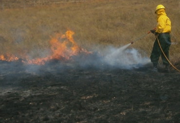 Hasta el momento se han reportado 7 conflagraciones a la Comisión Departamental de Incendios Forestales. Foto: Jaime Rangel. Incendios forestales Meta
