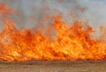 Las conflagraciones se producen debido a la quema incontrolada de basura por habitantes del casco urbano. Foto: CONtexto ganadero. Incendios forestales.jpg
