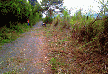 Un total de 187 kilómetros serán intervenidos este año. Foto: Alcaldía de La tebaida Vías terciarias Quindío