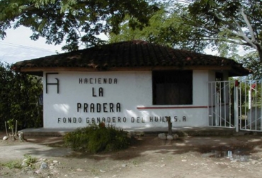 En 45.860 cabezas de ganado ha caído el inventario del FGH en los últimos 12 años. Foto: Fondo Ganadero de Huila. Fondo Ganadero de Huila