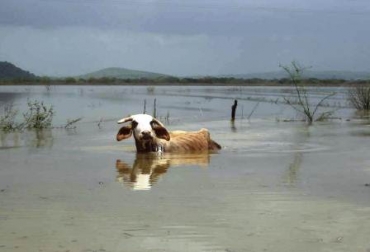 Con estas obras, se prevé ayudar a los ganaderos afectados por las inundaciones. Foto: CONtexto Ganadero. Inundación Córdoba