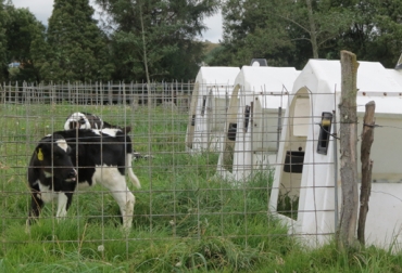Temas como la certificación de prácticas ganaderas, conservación de forrajes y prácticas gerenciales, entre otros, se conocerán en este recorrido que impulsa la reconversión del sector. Foto: Fedegán - Predio Kurikingas. Predio Kurikingas