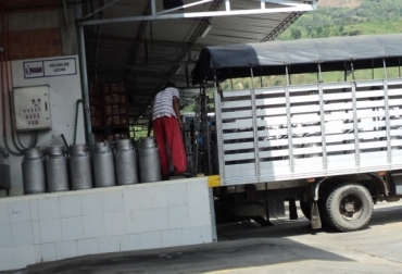 Lácteos Tamacara se encarga de realizar el acopio de la leche, la cual es vendida a una reconocida empresa santandereana. Foto: Alcaldía de Socorro. Ganaderos de Socorro