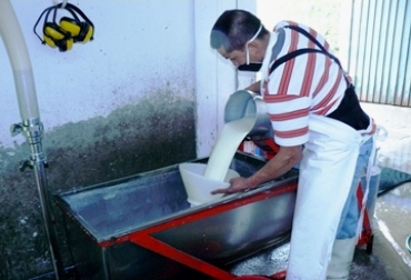 Este mensaje pone en riesgo la actividad ganadera, ya que muchas familias viven de la producción de leche. Foto: Santiago Jaramillo. Producción leche