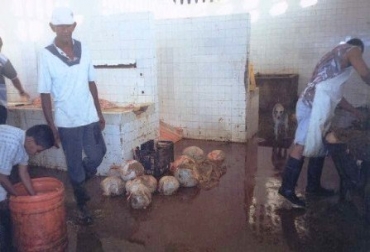 El buen estado del matadero ha aumentado las ventas en la ciudad. Foto: CONtexto Ganadero. Matadero Municipal de Riohacha.jpg
