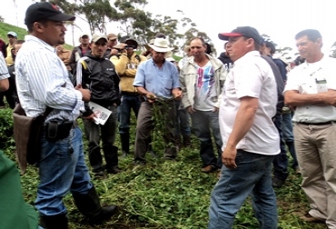 El certificado sirve como constancia de habilidades adquiridas por los asistentes a la escuela, lo cual representa ventajas al momento de emplearse en un predio. Foto: CONtexto ganadero. Certificaciones SENA - Fedegán.
