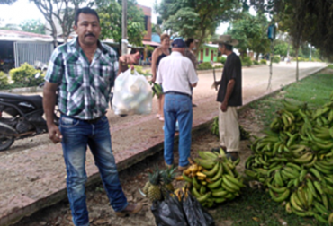 Productos como plátano, piña y cilantro se consiguen en la plaza del pueblo a más bajo costo, gracias a esta iniciativa. Foto: Sergio Gallego / Fedegán. Mercados campesinos