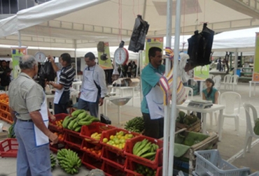 Hortalizas, frutas, carnes y pescados, podrán adquirir los cucuteños el próximo sábado en el mercado campesino. Foto: Alcaldía de Cúcuta. mercados campesinos